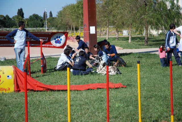 100 strade per giocare 2008